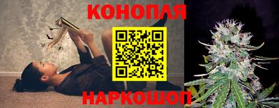 прущие грибы Гудермес