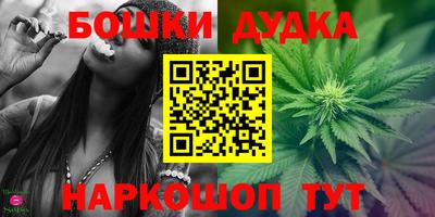 прущие грибы Гудермес
