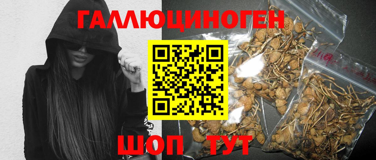 Псилоцибиновые грибы Magic Shrooms  Псилоцибиновые грибы GOLDEN TEACHER  Большой Камень  Вход с VPN 